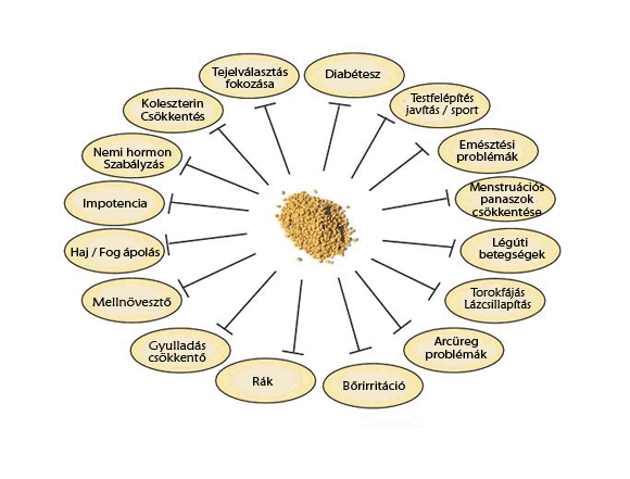 Görögszéna használati diagram